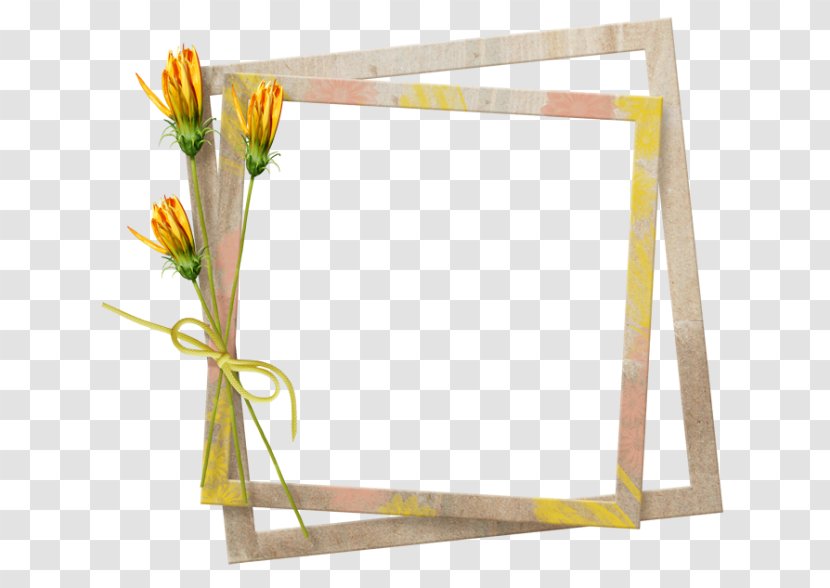 Picture Frames Photography - Drawing Transparent PNG