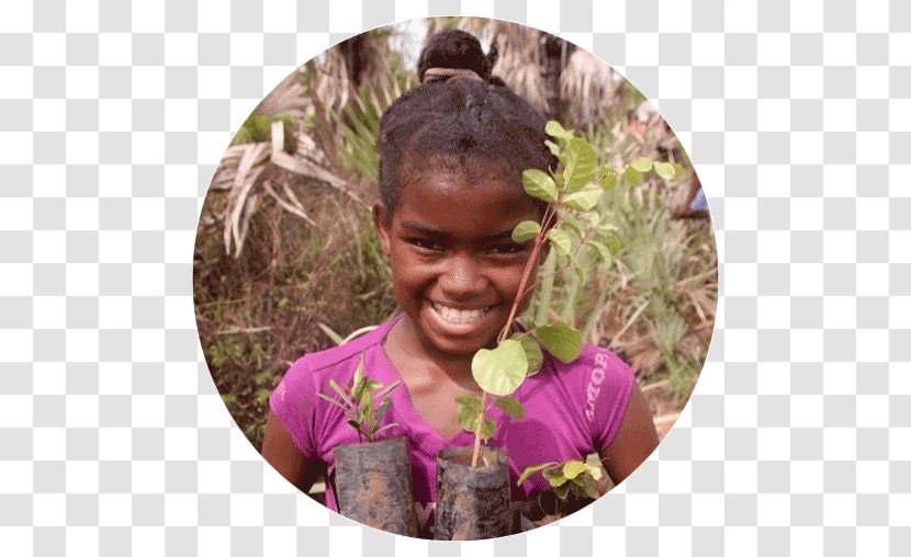 Tree Imagine Woman Nature Female - Smile Transparent PNG