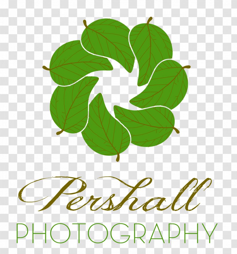Logo Leaf Brand Plant Stem Font - Green Transparent PNG