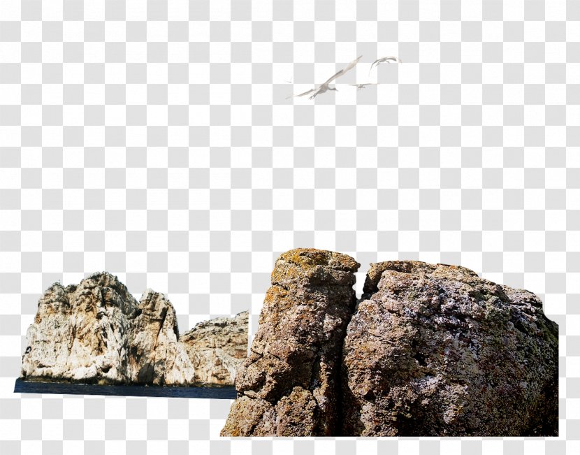 Rock Download Computer File - Stone - Seagull Transparent PNG