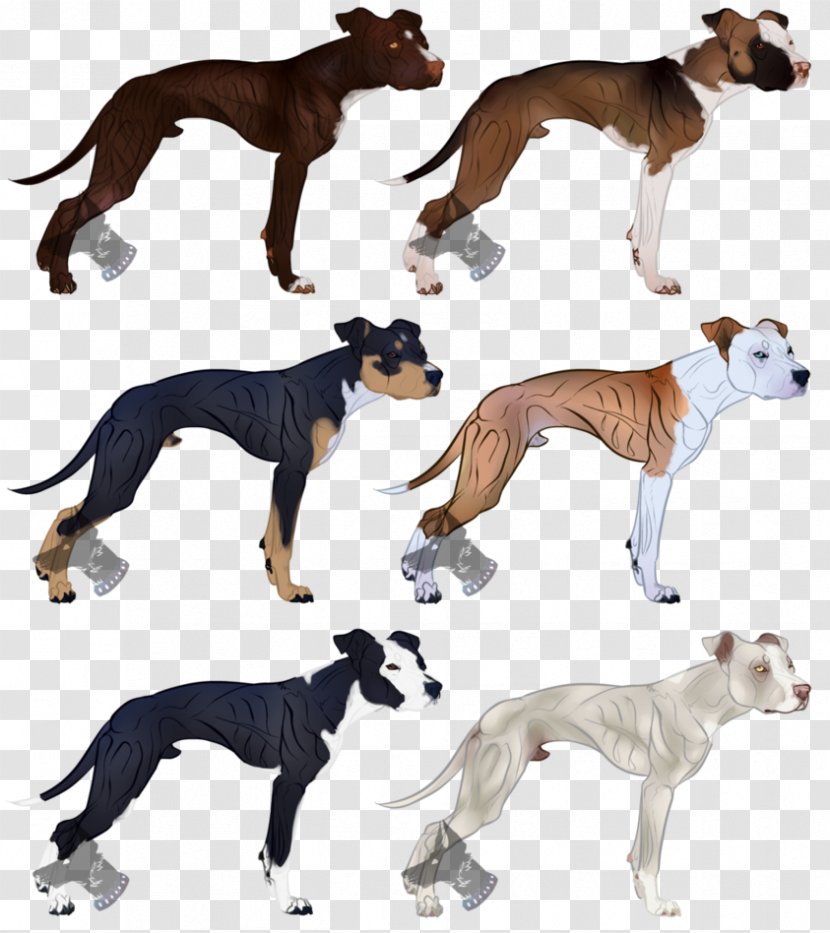Dog Breed Whippet Lurcher American Pit Bull Terrier - Breeders Association Transparent PNG