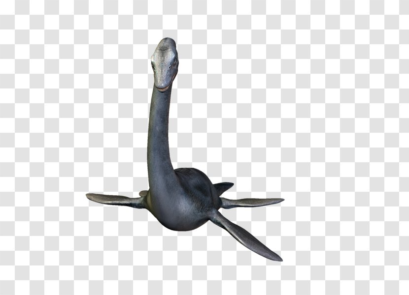 Beak PhotoScape GIMP Bird - Gimp - Dinosaurs Transparent PNG