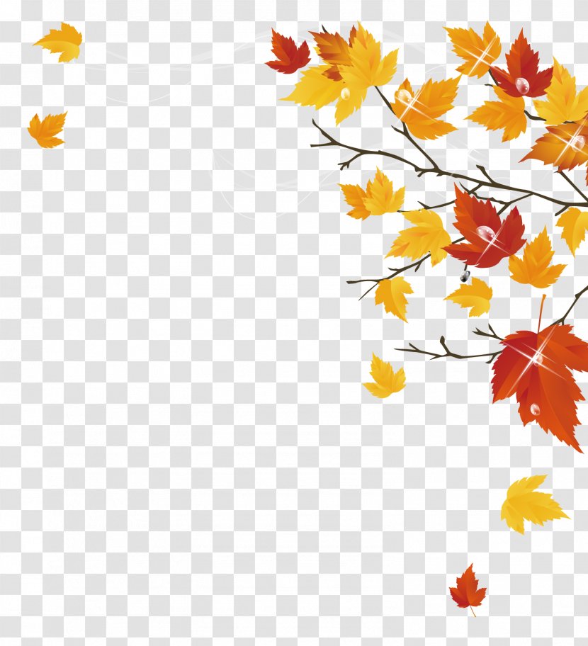 Autumn Maple Leaf - Branch Transparent PNG