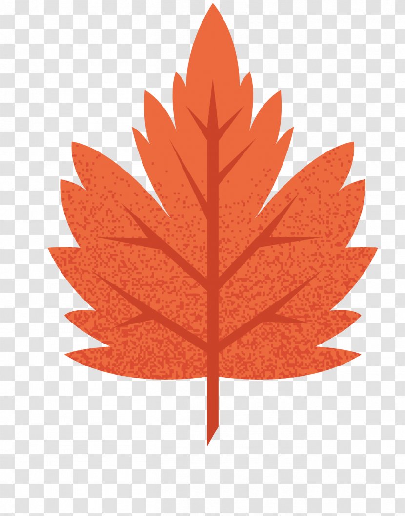 Vector Graphics Image Euclidean Illustration - Maple Leaf - Autumn Transparent PNG