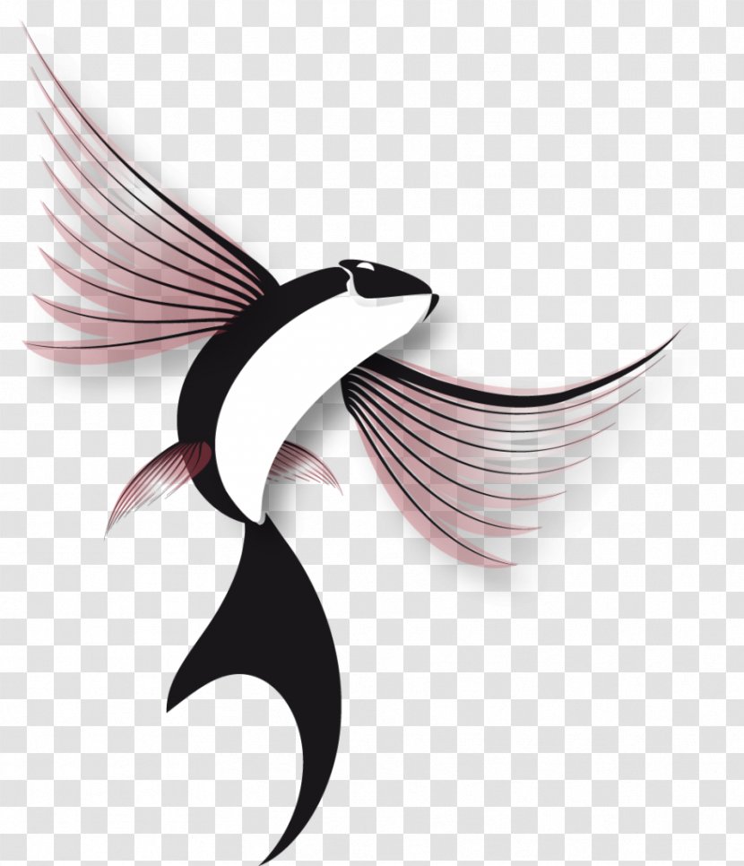 Flying Fish Flight Logo - Resume Transparent PNG