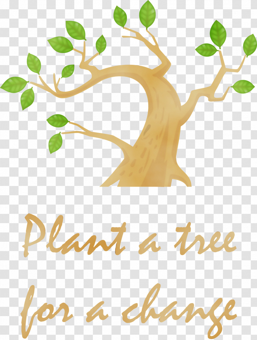 Tree Leaf Branch Plant Stem Woody Plant Transparent PNG