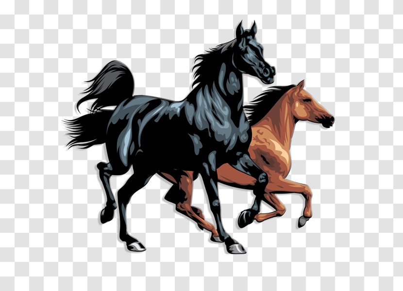 Horse Clip Art - Royaltyfree Transparent PNG