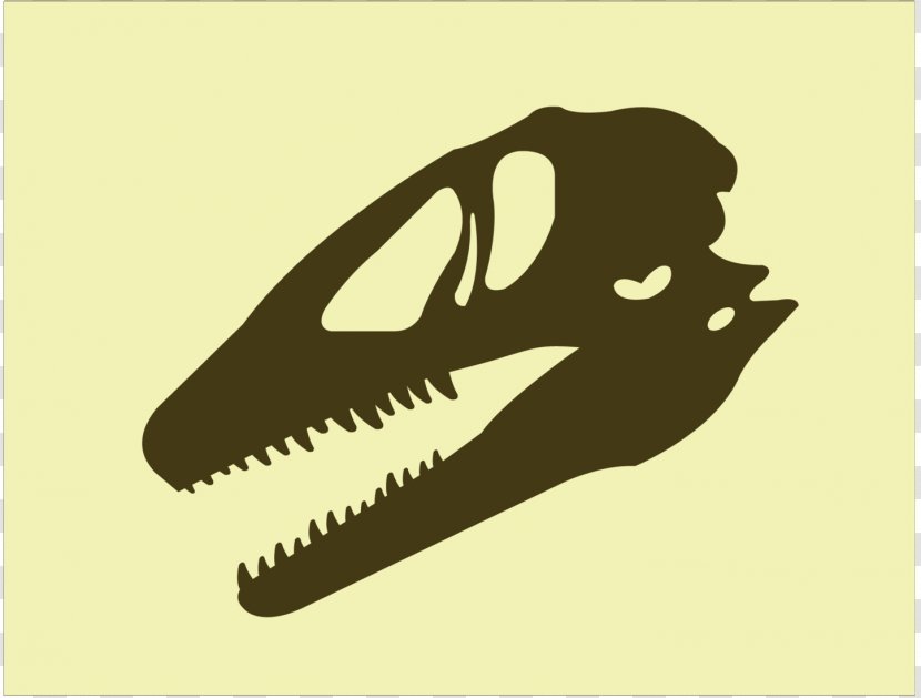Illustration Product Design Graphics Jaw - Dinosaur - Tooth Transparent PNG