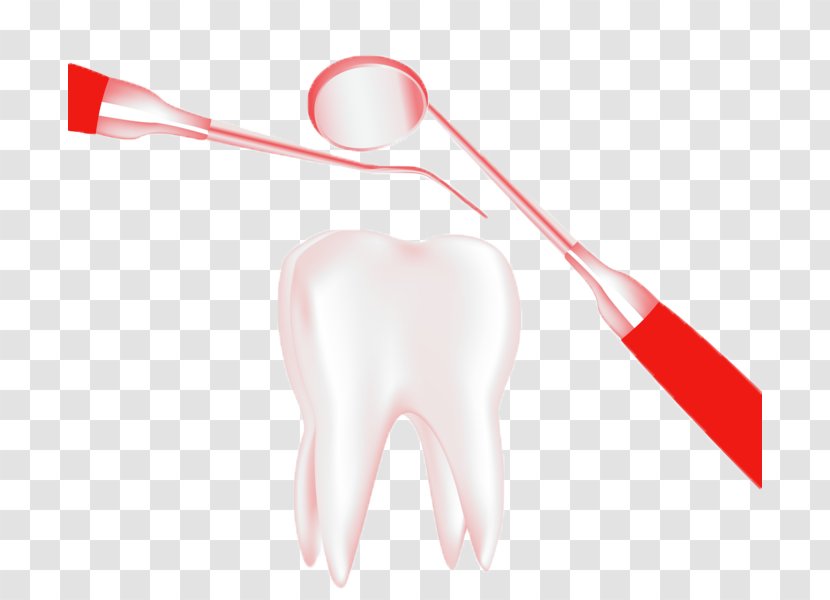 Human Tooth Jaw Shoulder - Watercolor - Dental Tools Transparent PNG