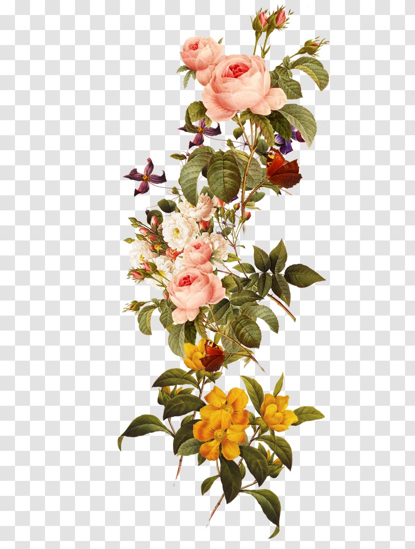 Download Flower - Branch - Beautiful Flowers Transparent PNG