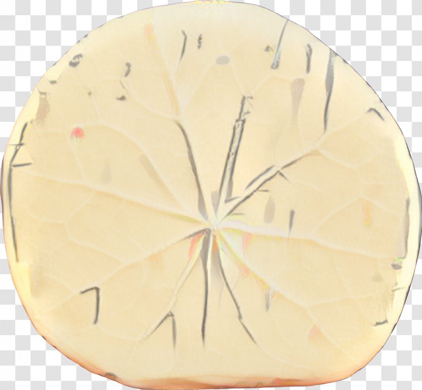 Yellow Background - Leaf - Peach Transparent PNG