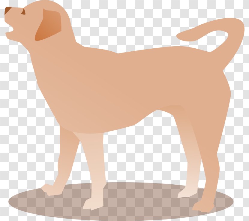 Dog Breed Puppy Sporting Group Companion Retriever - Vertebrate Transparent PNG