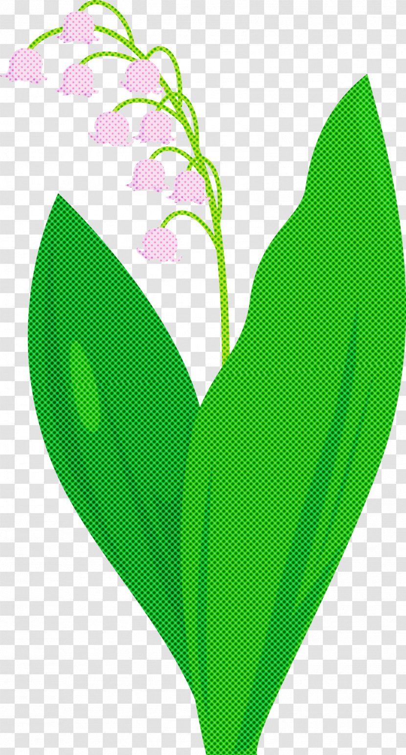 Lily Bell Flower Transparent PNG