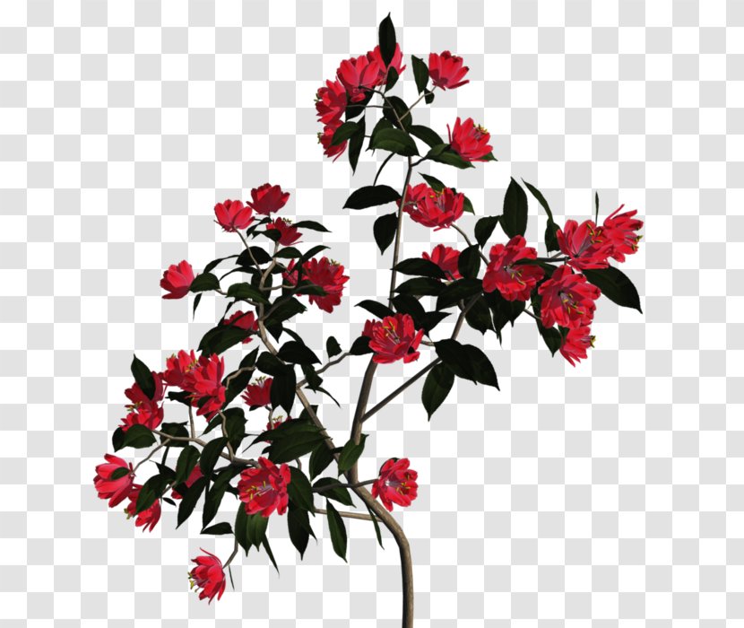 Floral Design Cut Flowers Clip Art - Tree - Flower Transparent PNG