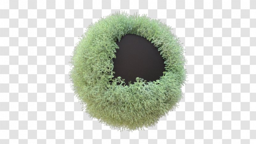 Fur - Green Transparent PNG