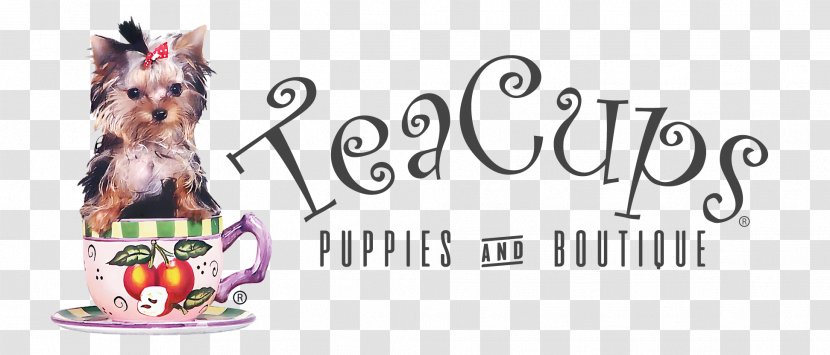 Pomeranian Puppy Dog Breed TeaCups, Puppies & Boutique Canidae - Drinkware - Yorkie Transparent PNG