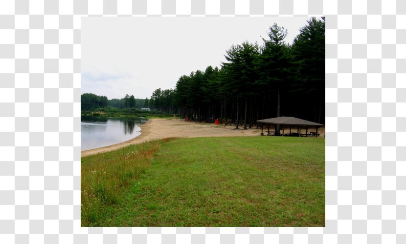 Water Resources Lawn Pond Property Land Lot - Legends At Taylor Lakes Llc Transparent PNG