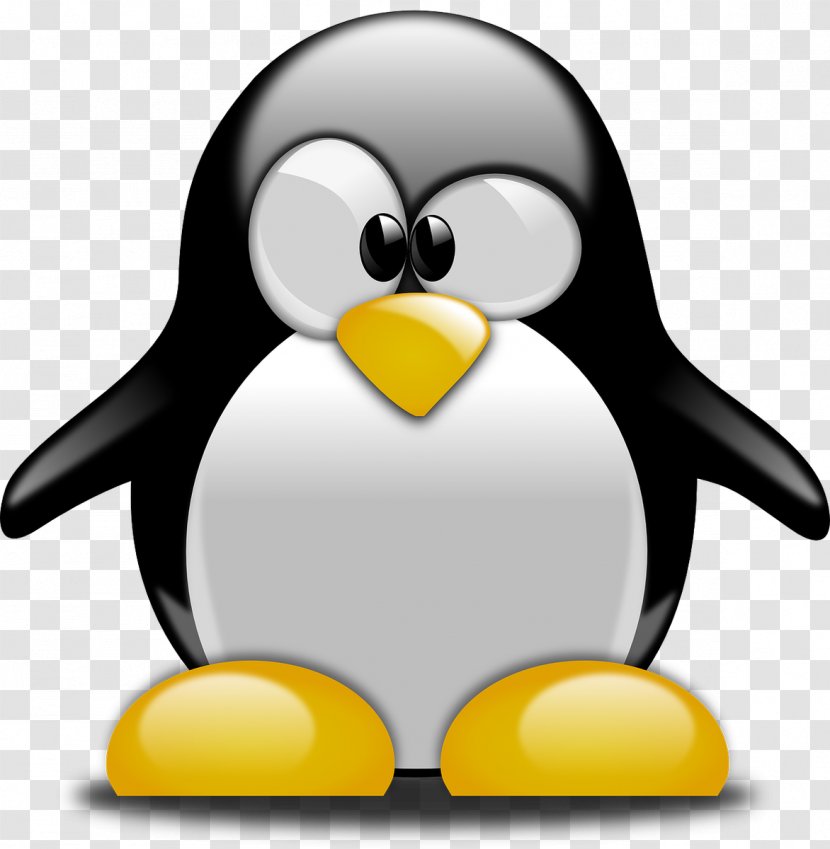 Tux Racer Penguin Linux Clip Art - Tuxedo Transparent PNG