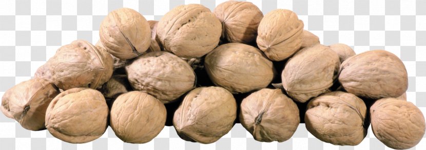 Nuts Walnut Hazelnut - Peanut Transparent PNG