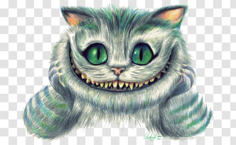 Cheshire Cat Alice Mad Hatter White Rabbit - Paw Transparent PNG