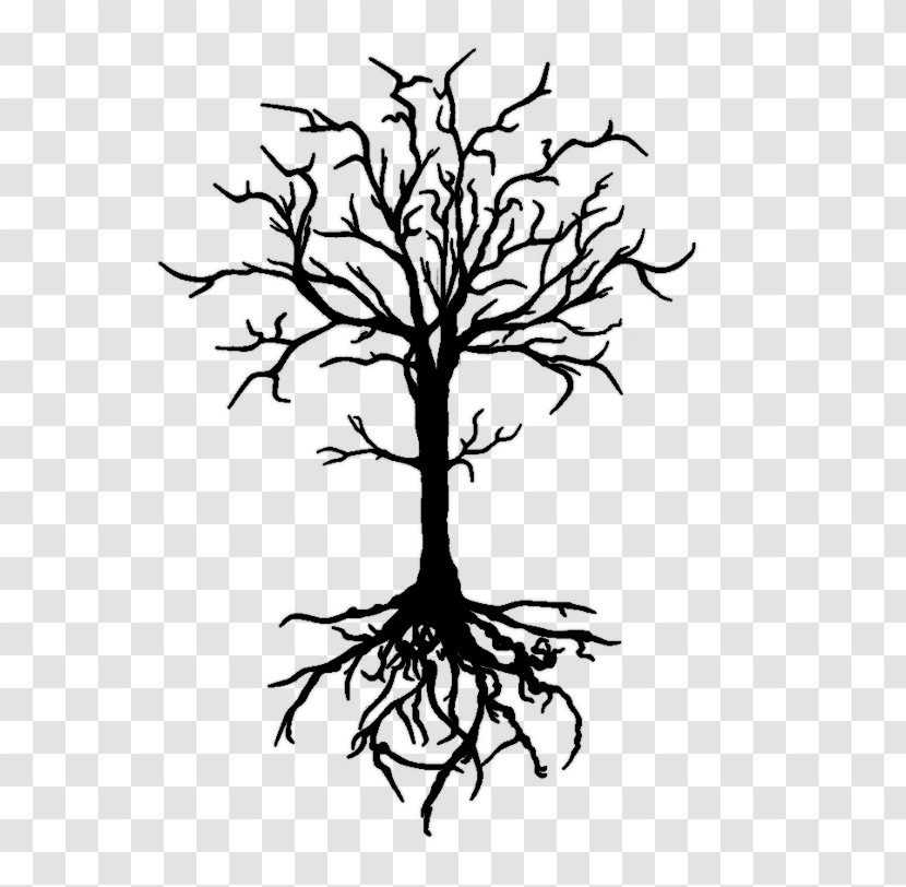 Drawing Tree Sketch - Flowering Plant Transparent PNG