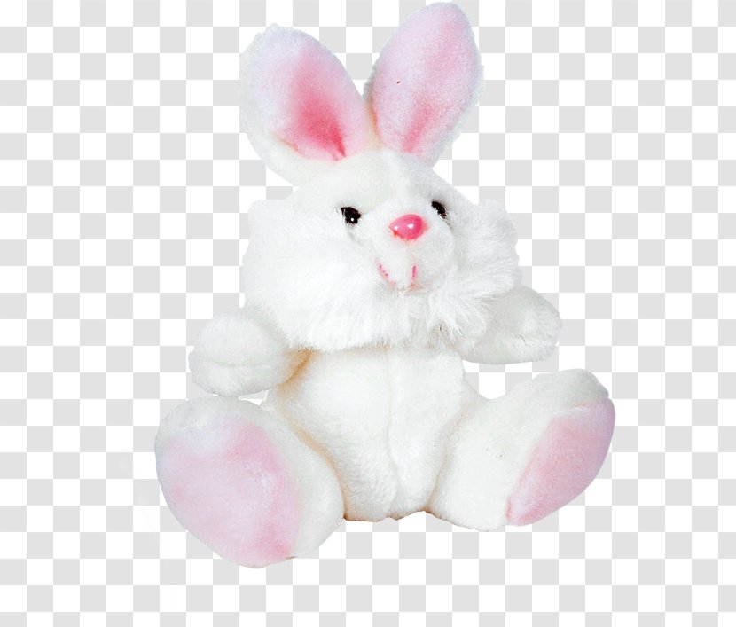Domestic Rabbit White Easter Bunny European - Cute Transparent PNG