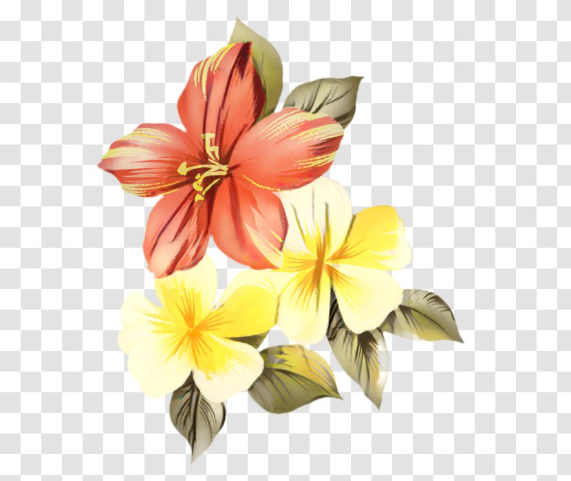 Clip Art Vector Graphics Flower Image - Drawing - Lily Transparent PNG