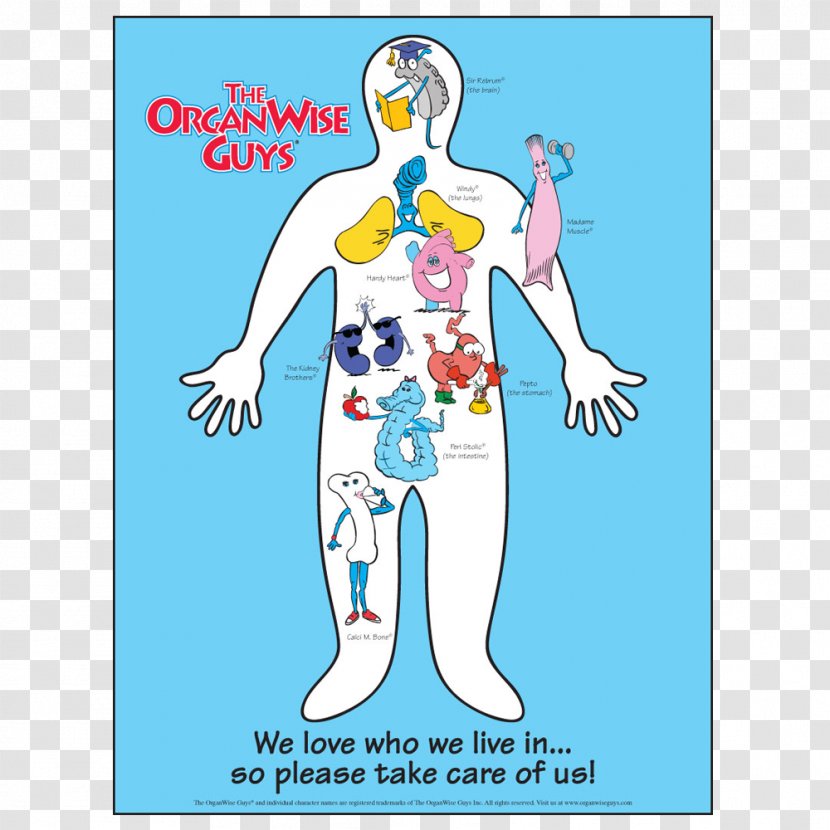 The OrganWise Guys Human Body Poster - Tree - Health Transparent PNG