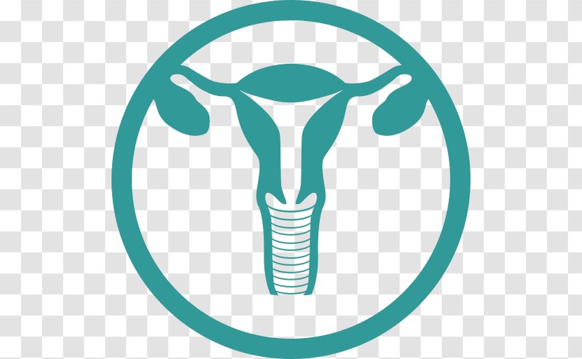 Uterus Medicine Uterine Fibroid Endometrium - Adenomyosis Transparent PNG