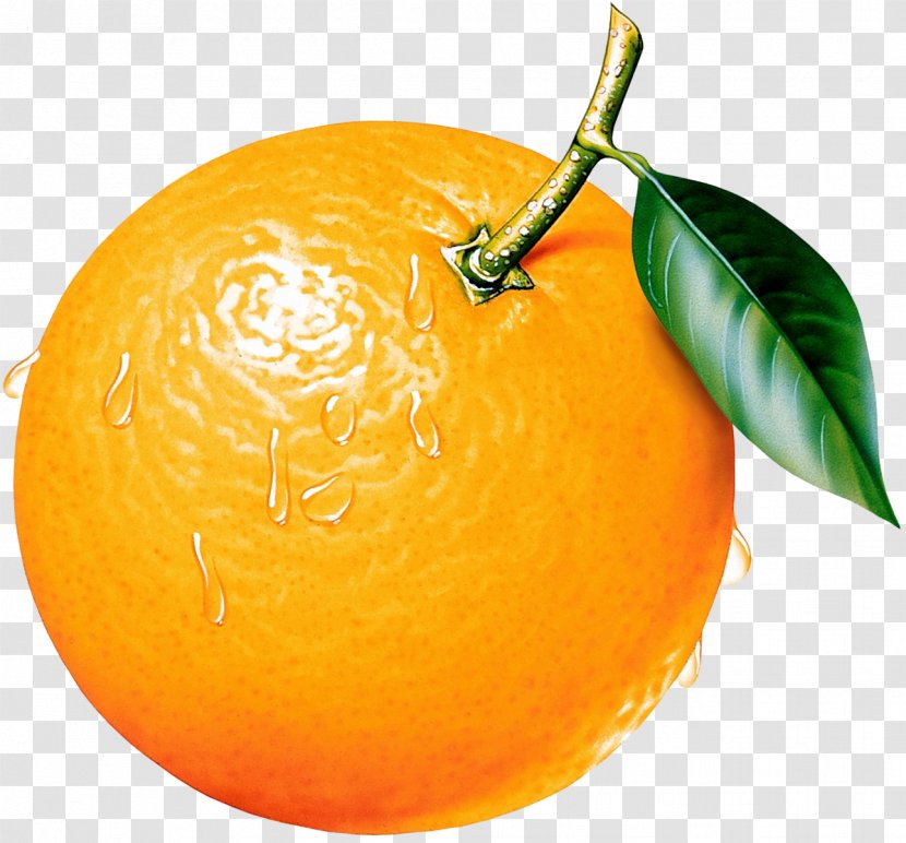 Orange Clip Art - Tangerine - Clipart Picture Transparent PNG