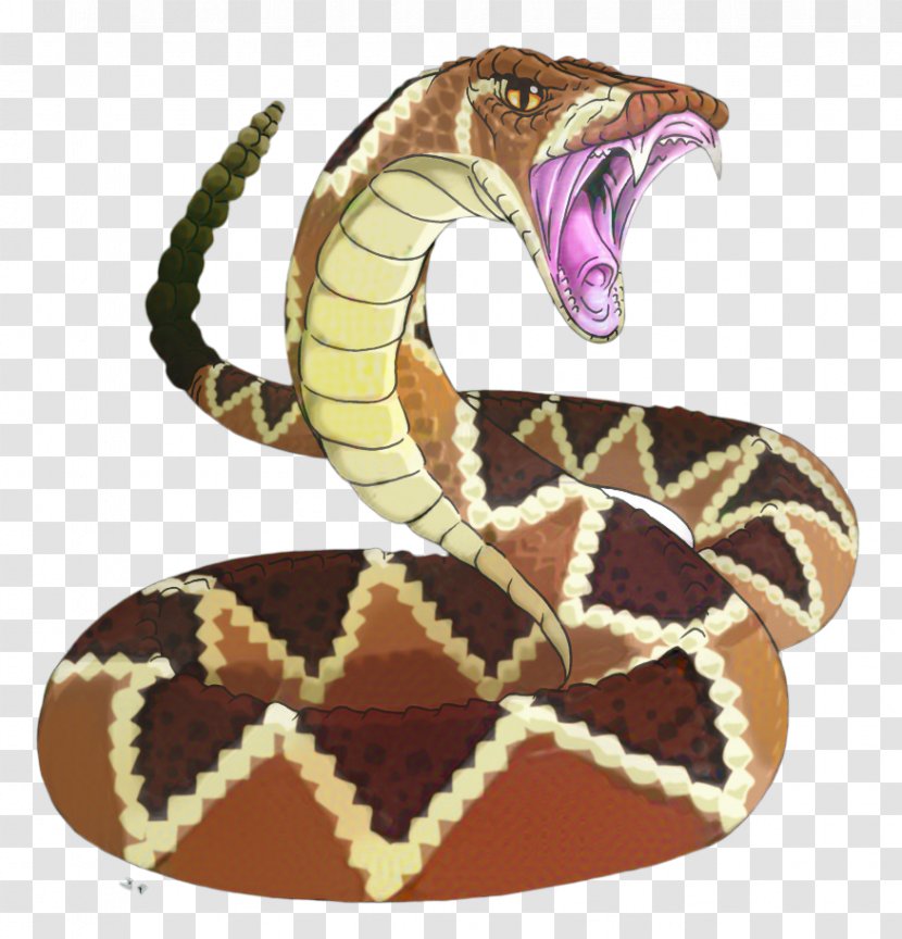 Snake Cartoon - Rattlesnake - Seahorse Viper Transparent PNG