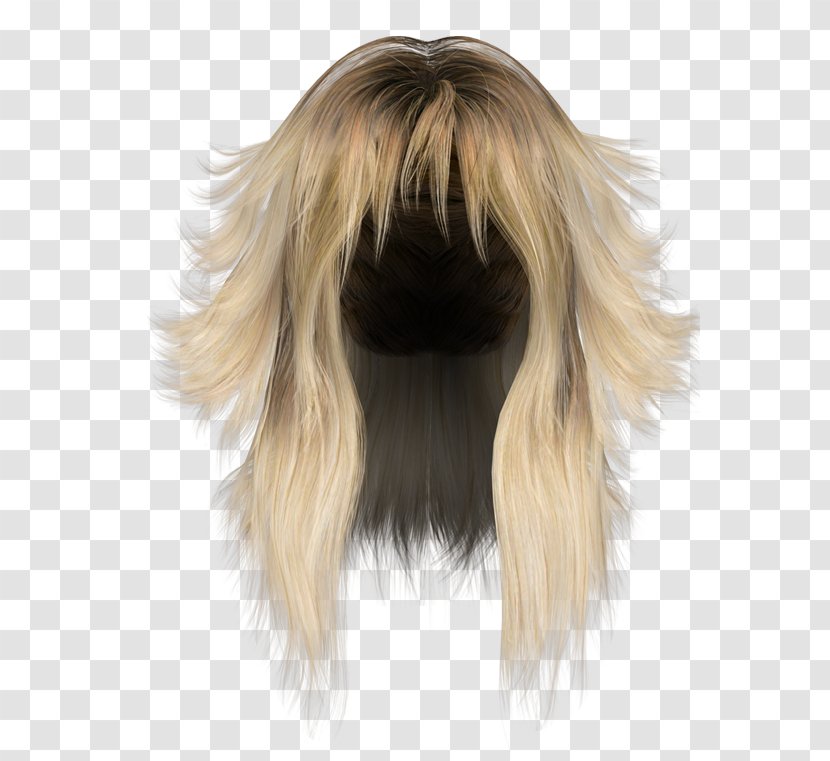 Hairstyle Wig Long Hair - Human Color Transparent PNG