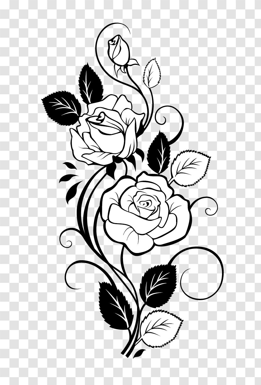 Rose Drawing Vine Clip Art - Cartoon Transparent PNG