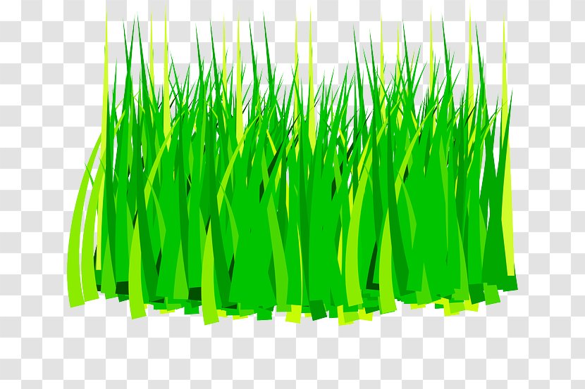 Lawn Agriculture Clip Art - Meadow - Rumput Transparent PNG