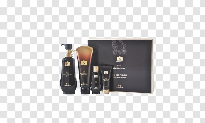 South Korea Shampoo Perfume Capelli - Google Images - Black Lu Box Transparent PNG
