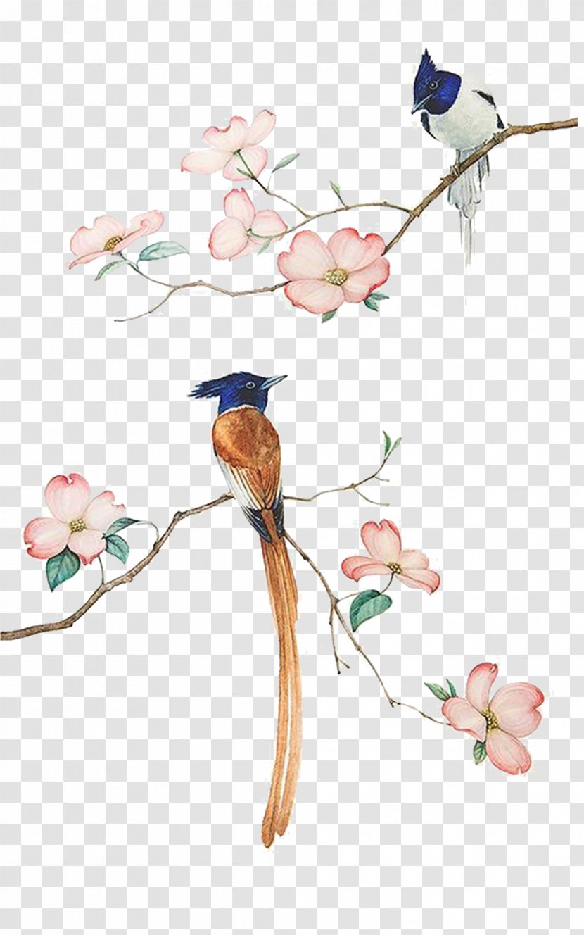 Bird-and-flower Painting Watercolor Drawing - Birdandflower - Creative Pull Thrush Painted Free Transparent PNG