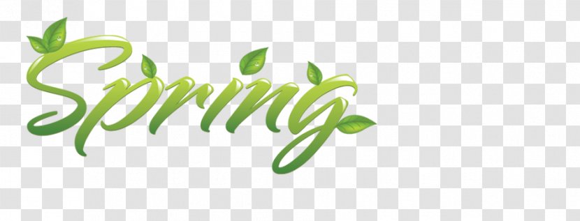 Spring - Brand - Text Transparent PNG