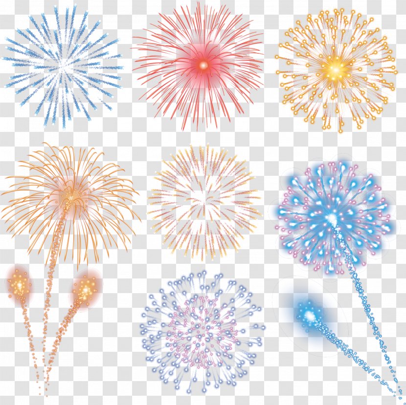 Fireworks - Picture Vector Material Transparent PNG