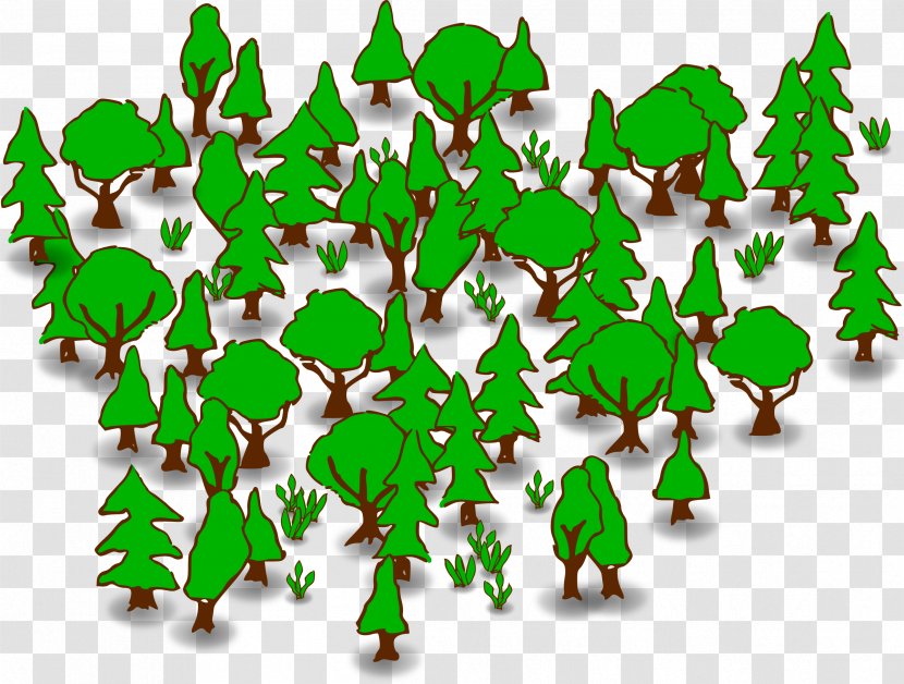 Random Forest Ensemble Learning Machine Decision Tree Algorithm - Forrest Transparent PNG