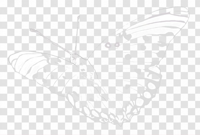 Brush-footed Butterflies Moth Butterfly Sketch - Monochrome Transparent PNG