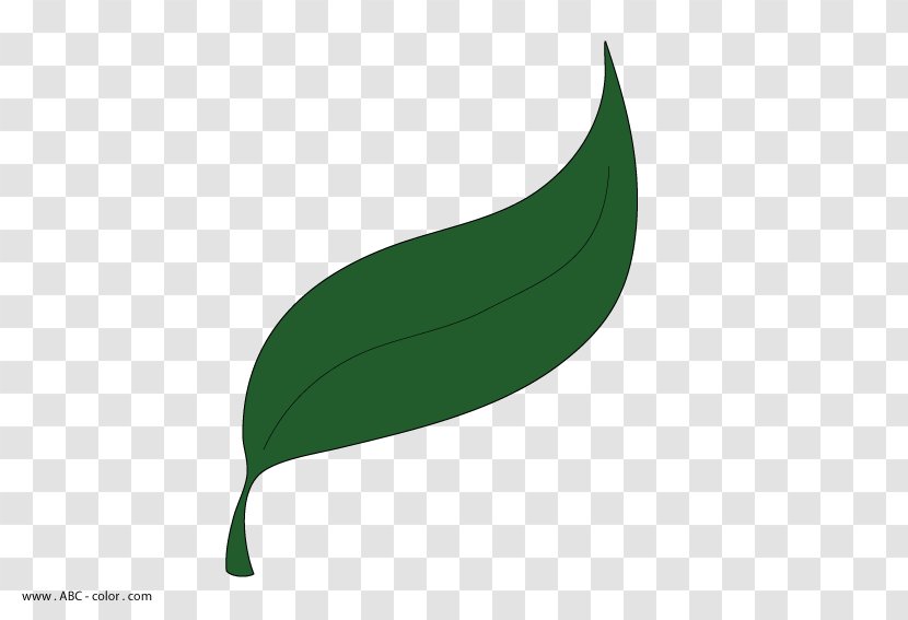 Leaf Plant Stem Font - Green Transparent PNG