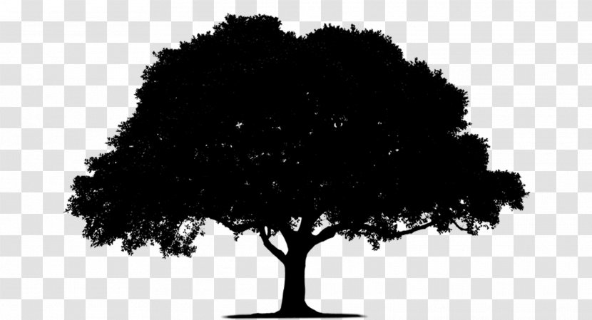 Stock Photography Royalty-free Tree Image - Blackandwhite - Branch Transparent PNG
