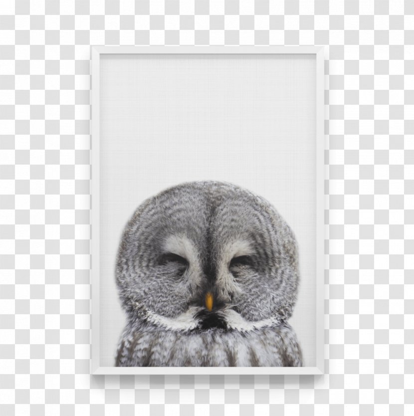 Owl Canvas Print Bird Art - Watercolor Painting Transparent PNG