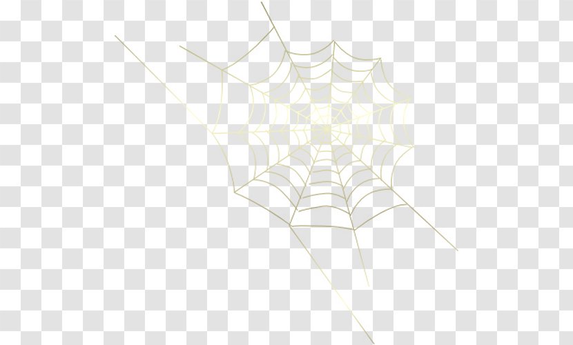 Spider Web Symmetry Line Pattern - Webm Transparent PNG