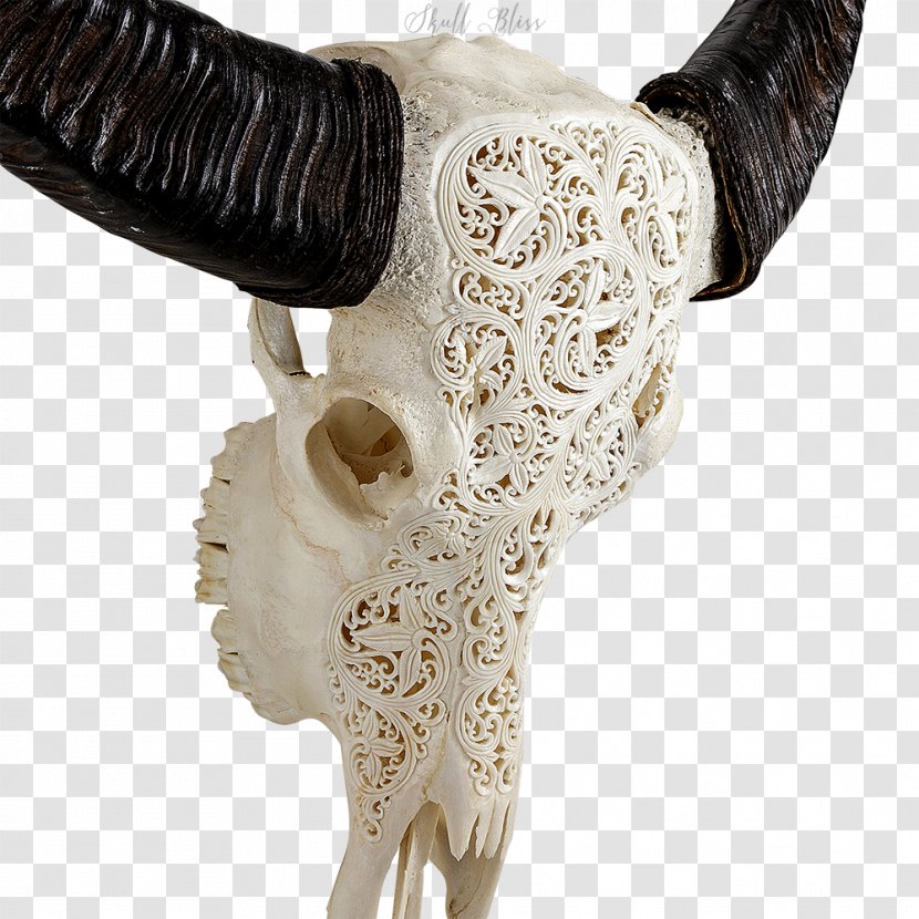 Animal Skulls Horn Carving All Laced Up - Flower - Buffalo Skull Transparent PNG