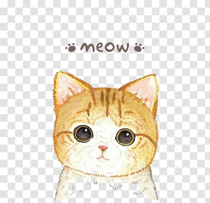 Cat Cuteness Cartoon Moe - Avatar - Yellow Kitten Transparent PNG