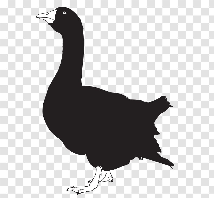 Goose Silhouette Clip Art Image - Water Bird Transparent PNG