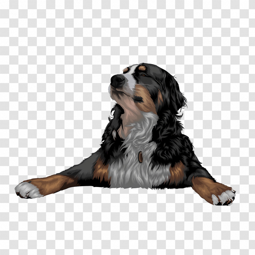 Bernese Mountain Dog Puppy Snout Companion Dog Breed Transparent PNG