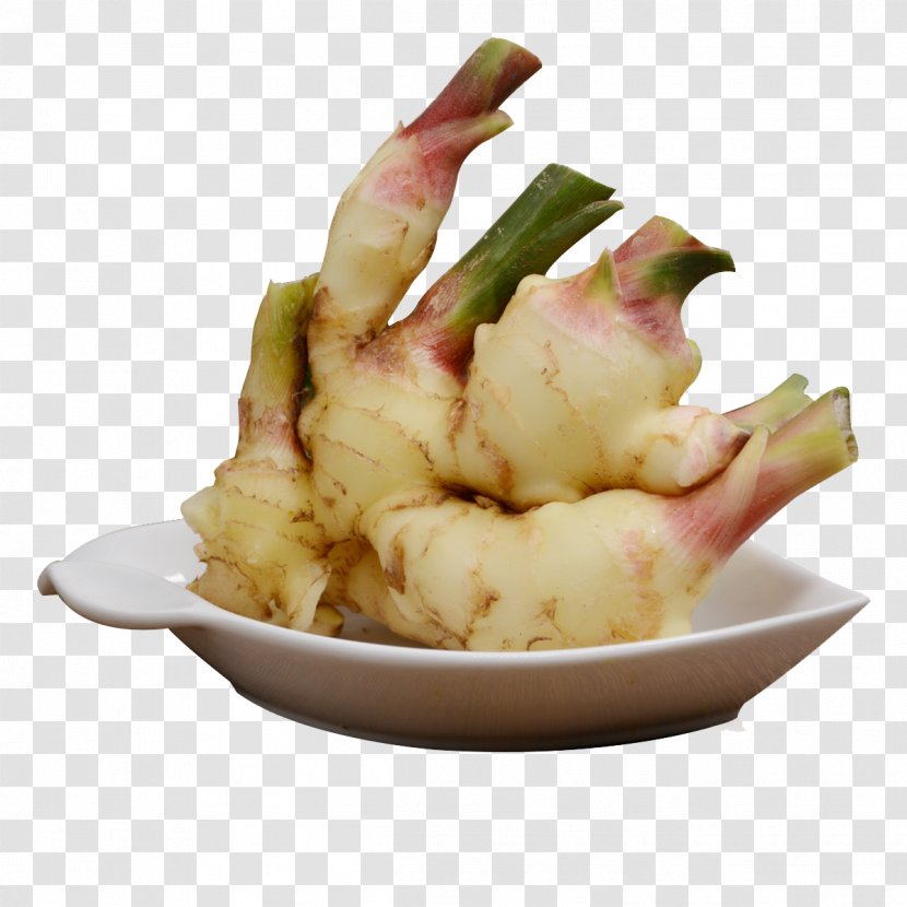 Sushi Laiwu Sweet And Sour Ginger Galangal - Vegetable - Intraday Tender Transparent PNG