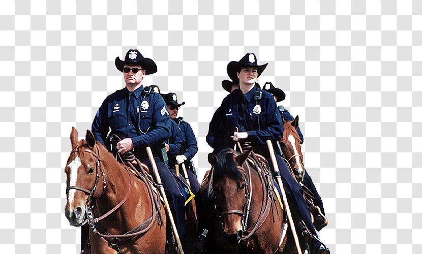 Horse Denver Police Protective Association Rein Mounted - Militia Transparent PNG
